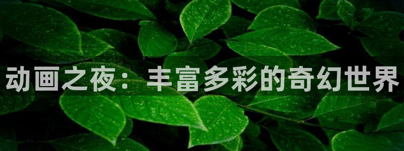 动漫里番在线播放：动画之夜：丰富多彩的奇幻世界