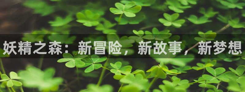 里番动漫黑兽：妖精之森：新冒险，新故事，新梦想
