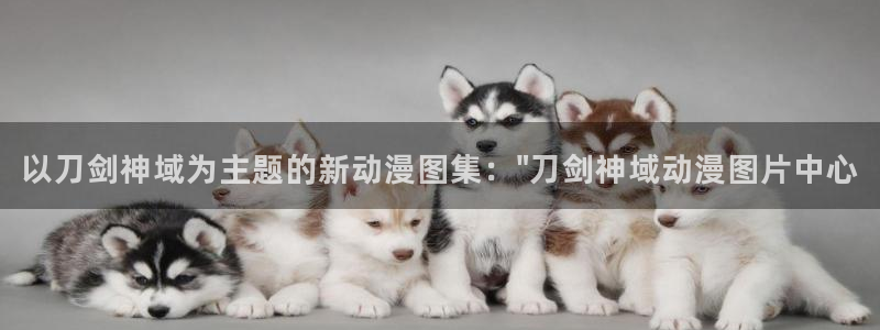 里番动漫在线视频