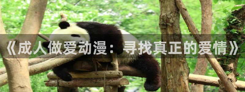 二次元里番动漫：《成人做爱动漫：寻找真正的爱情》