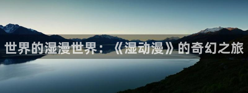 里番动漫资源网站：世界的湿漫世界：《湿动漫》的奇幻之旅