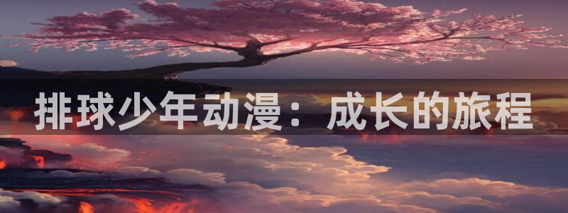 动漫里番网址：排球少年动漫：成长的旅程
