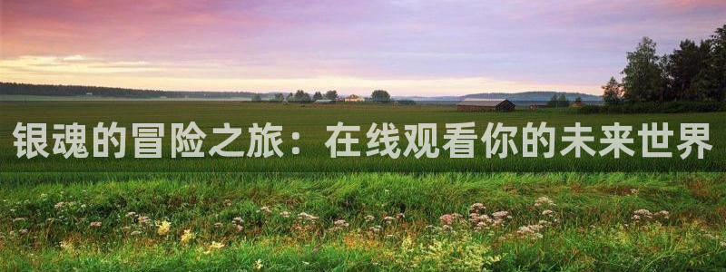看动漫里番的网站：银魂的冒险之旅：在线观看你的未来世界