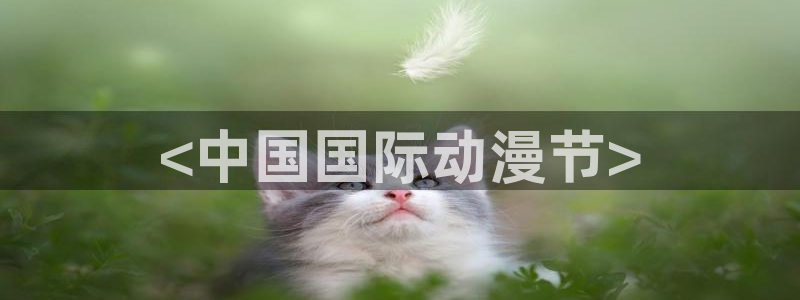 有那些好看里番动漫：<中国国际动漫节>