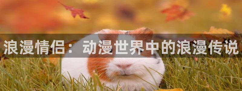 涩里番动漫网站：浪漫情侣：动漫世界中的浪漫传说