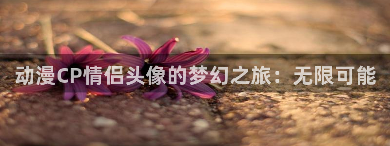 日本里番推荐：动漫CP情侣头像的梦幻之旅：无限可能