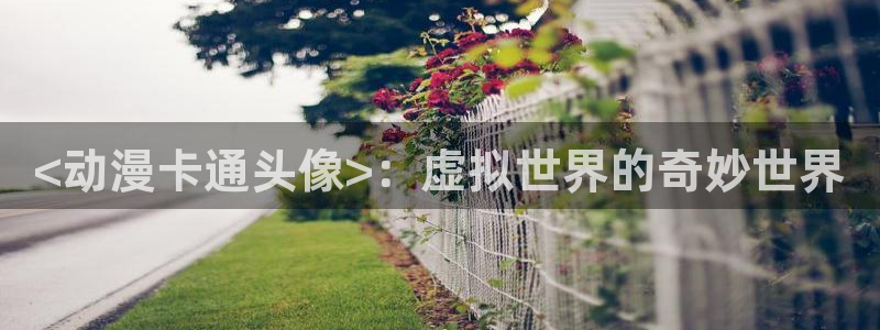 里番acg全彩漫画：<动漫卡通头像>：虚拟世界的奇妙世界