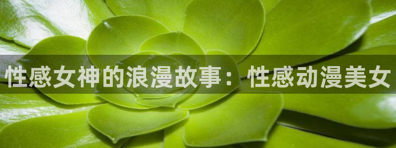 里番免费动漫：性感女神的浪漫故事：性感动漫美女