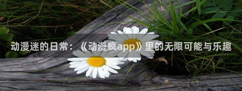 里番全彩漫画大全：动漫迷的日常：《动漫疯app》里的无限可能与乐趣